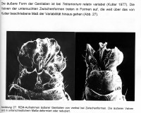 Bild-6-Gen.S.-33-210.jpg (675.27 KiB) 104600-mal betrachtet Bild-6-Gen.S.-33-210.jpg