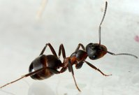 IMG_2635.JPGa.JPG (1.04 MiB) 18572-mal betrachtet IMG_2635.JPGa.JPG