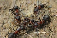 IMG_7157a.jpg (1.06 MiB) 18569-mal betrachtet IMG_7157a.jpg