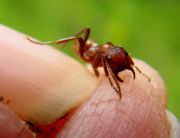 2-Pol.ruf.Juni-2013-144.jpg (437.79 KiB) 30841-mal betrachtet 2-Pol.ruf.Juni-2013-144.jpg