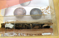 8-C.h.-Nest-Gyne_4264.jpg