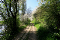 1-Biber-772_5.jpg (953.38 KiB) 143895-mal betrachtet 1-Biber-772_5.jpg