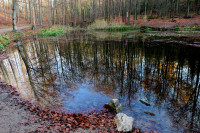 WKP-Teich.jpg