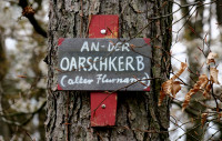 Oarschkerb_708.jpg