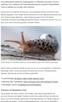 Tigerschnecke-b.jpg