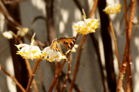 DSC07847.JPG (1.09 MiB) 24137-mal betrachtet DSC07847.JPG