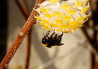 DSC07890.JPG (1.09 MiB) 24137-mal betrachtet DSC07890.JPG