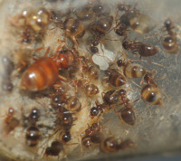 20230909_DSCN9793s.JPG (919.26 KiB) 167077-mal betrachtet 20230909_DSCN9793s.JPG