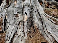 IMG-20240207-WA0000.jpg (808.36 KiB) 22308-mal betrachtet IMG-20240207-WA0000.jpg