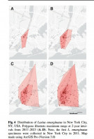 Las.emarg.NY.jpg (92.02 KiB) 822996-mal betrachtet Las.emarg.NY.jpg