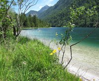 Königssee_5331.jpg