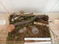 CIMG6432.JPG (316.04 KiB) 78319-mal betrachtet CIMG6432.JPG