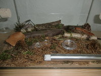 CIMG6438.JPG (320.78 KiB) 78276-mal betrachtet CIMG6438.JPG