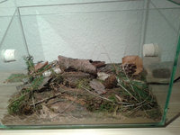 IMG-20140315-WA0001.jpg (264.71 KiB) 77636-mal betrachtet IMG-20140315-WA0001.jpg