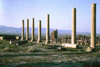 Timgad-02.jpg