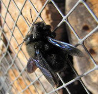 1-Xyl..jpg (213.08 KiB) 88145-mal betrachtet 1-Xyl..jpg