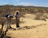 5-Petr.forest-075.jpg (660.45 KiB) 74697-mal betrachtet 5-Petr.forest-075.jpg