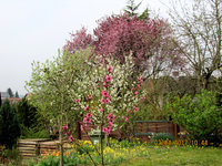 4-Garten-pink-weiß_393-web.jpg