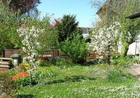 Garten-103.jpg