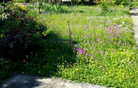 Garten-4.Mai_105139.jpg