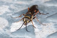 DSC02131a.jpg (333.68 KiB) 14768-mal betrachtet DSC02131a.jpg