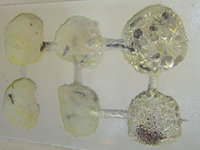 Odontomachus haematodus Nestkammern.JPG (696.96 KiB) 105373-mal betrachtet Odontomachus haematodus Nestkammern.JPG