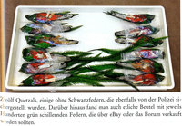 Beute-IMG130.jpg (467.21 KiB) 35787-mal betrachtet Beute-IMG130.jpg