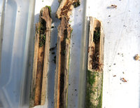 1-T.aff._1297.jpg (703.95 KiB) 54083-mal betrachtet 1-T.aff._1297.jpg