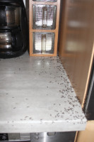 IMG_9730 Ameisenportal.JPG (544.84 KiB) 93335-mal betrachtet IMG_9730 Ameisenportal.JPG