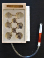 Neues Nest.JPG (825.2 KiB) 143774-mal betrachtet Neues Nest.JPG