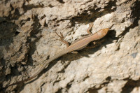 _MG_2923.JPG (641.85 KiB) 18337-mal betrachtet _MG_2923.JPG