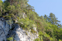 _MG_2974a.jpg (1.03 MiB) 18337-mal betrachtet _MG_2974a.jpg