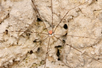 _MG_2980.JPG (608.37 KiB) 18337-mal betrachtet _MG_2980.JPG