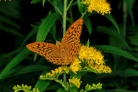 _MG_2995.JPG (454.44 KiB) 18337-mal betrachtet _MG_2995.JPG