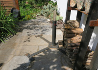 Polistes1_87.jpg (933.1 KiB) 216331-mal betrachtet Polistes1_87.jpg