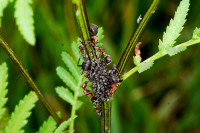 DSC04477.JPG (394.42 KiB) 26357-mal betrachtet DSC04477.JPG