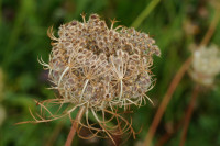 DSC04498.JPG (358.58 KiB) 26355-mal betrachtet DSC04498.JPG