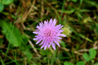 DSC04505.JPG (335.88 KiB) 26357-mal betrachtet DSC04505.JPG