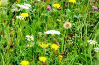 DSC04509.JPG (518.51 KiB) 26354-mal betrachtet DSC04509.JPG