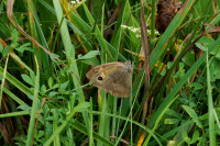 DSC04513.JPG (504.67 KiB) 26354-mal betrachtet DSC04513.JPG