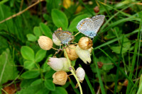 DSC04522.JPG (360.76 KiB) 26355-mal betrachtet DSC04522.JPG