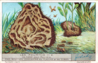 Liebig06a.jpg (459.82 KiB) 21744-mal betrachtet Liebig06a.jpg