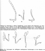 Bild-5-S28,29b-1.jpg (237.8 KiB) 103966-mal betrachtet Bild-5-S28,29b-1.jpg