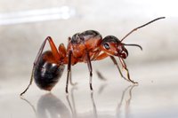 DSC02011a.jpg (931.99 KiB) 18759-mal betrachtet DSC02011a.jpg