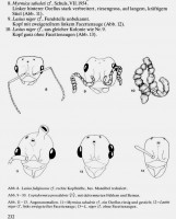 2-aus Kutter (1986).jpg (208.1 KiB) 51795-mal betrachtet 2-aus Kutter (1986).jpg