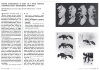 3-Genet.-Missbild.L.can.t.jpg (701.9 KiB) 51792-mal betrachtet 3-Genet.-Missbild.L.can.t.jpg