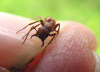 1-Pol.ruf.Juni-2013-142.jpg (115.34 KiB) 31026-mal betrachtet 1-Pol.ruf.Juni-2013-142.jpg