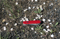 5-Theba, Messer_2305.jpg (851.14 KiB) 106462-mal betrachtet 5-Theba, Messer_2305.jpg