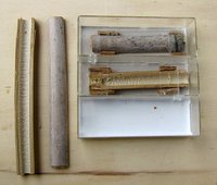 5-Bambusnester_4258.jpg (102.09 KiB) 99743-mal betrachtet 5-Bambusnester_4258.jpg