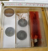 7-C.h.-Nest-Sieb_4262.jpg (104.98 KiB) 99522-mal betrachtet 7-C.h.-Nest-Sieb_4262.jpg